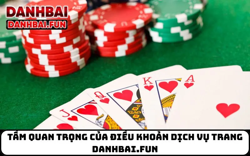 Tầm quan trọng của điều khoản dịch vụ trang danhbai.fun
