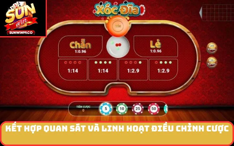 Kết hợp quan sát và linh hoạt điều chỉnh cược