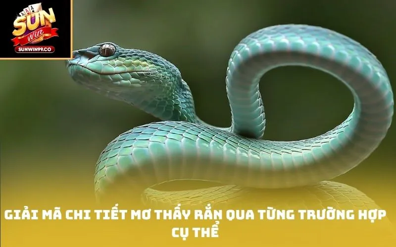 Giải mã chi tiết mơ thấy rắn qua từng trường hợp cụ thể