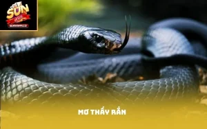 Mơ thấy rắn