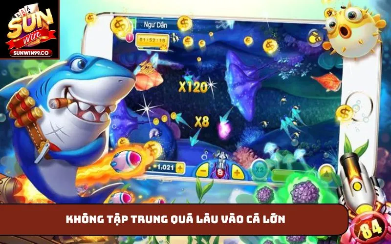 Không tập trung quá lâu vào cá lớn