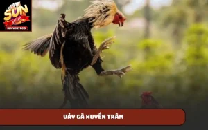 Vảy gà huyền trâm